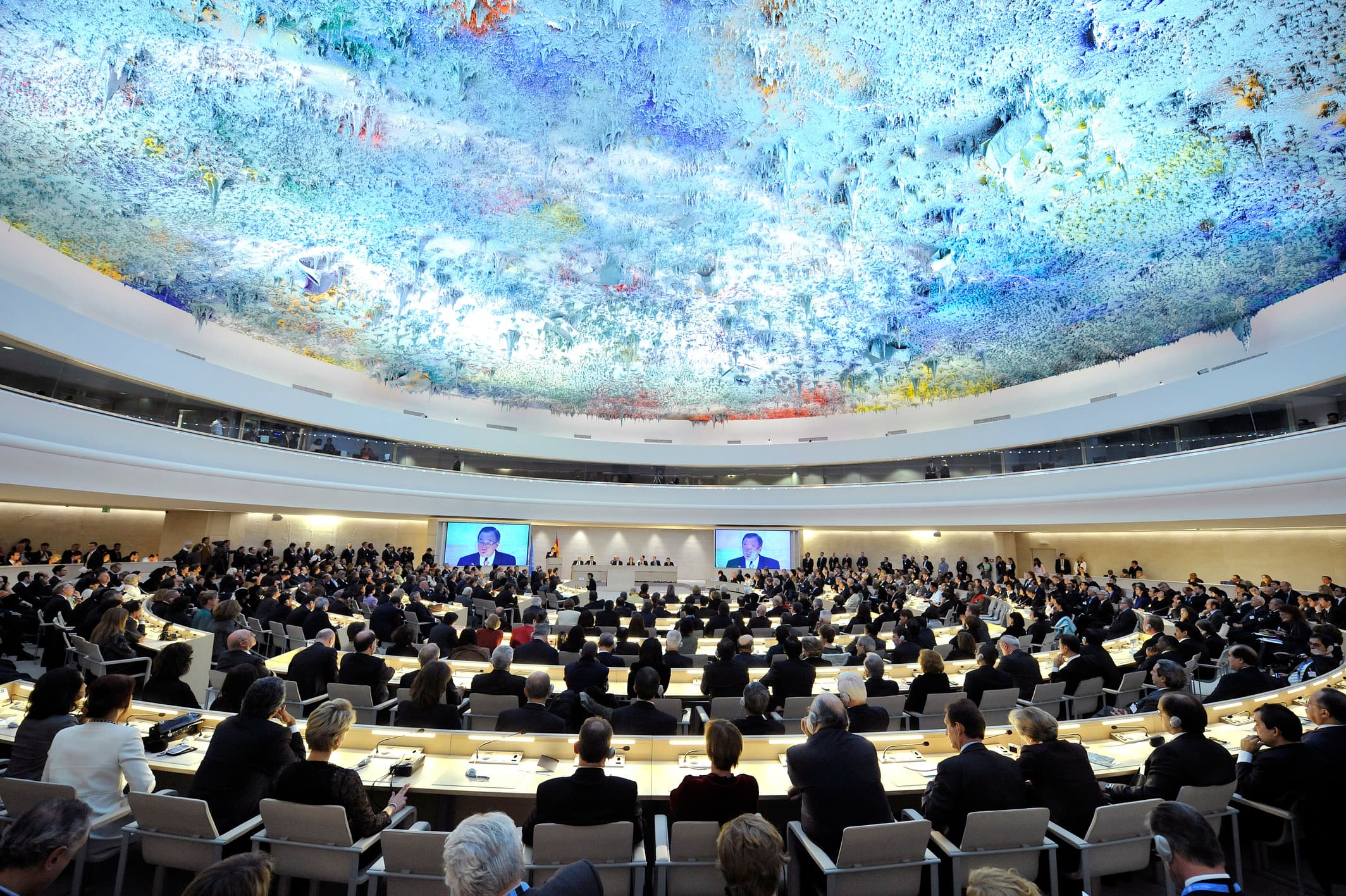 United Nations Human Rights Council
